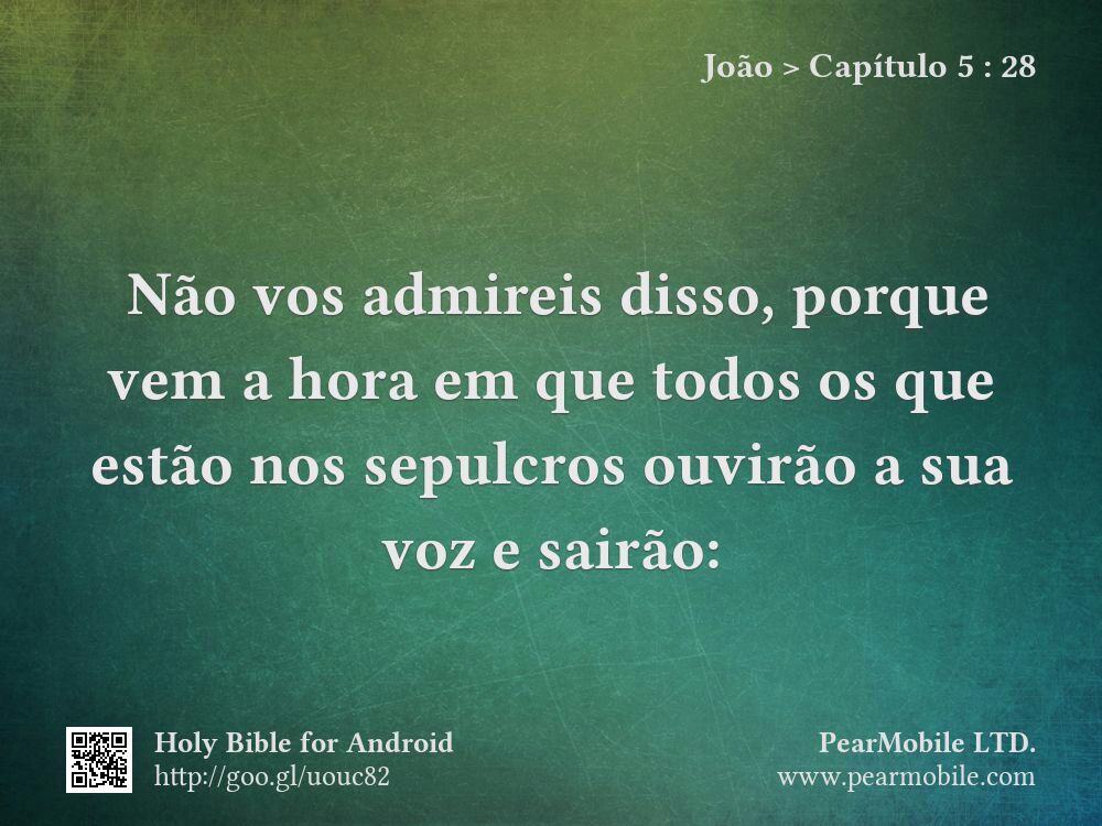 João, Capítulo 5:28